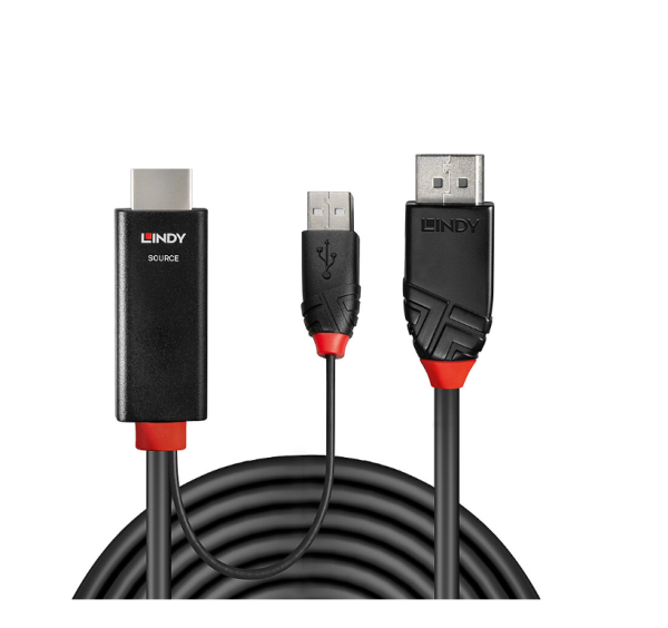 Cablu Lindy 1m HDMI la DisplayPort - RealShopIT.Ro